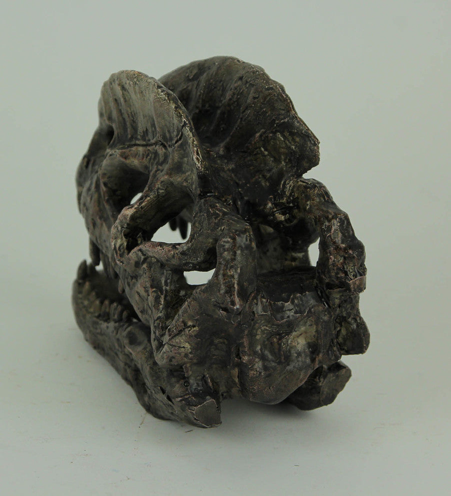Dilophosaurus Dinosaur Head Fossil Statue Small
