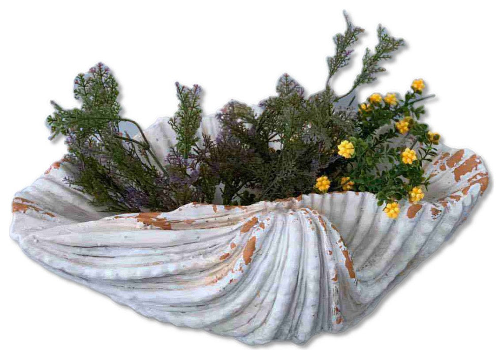 6" Distressed Cream and Terra Cotta Scallop Shell Planter