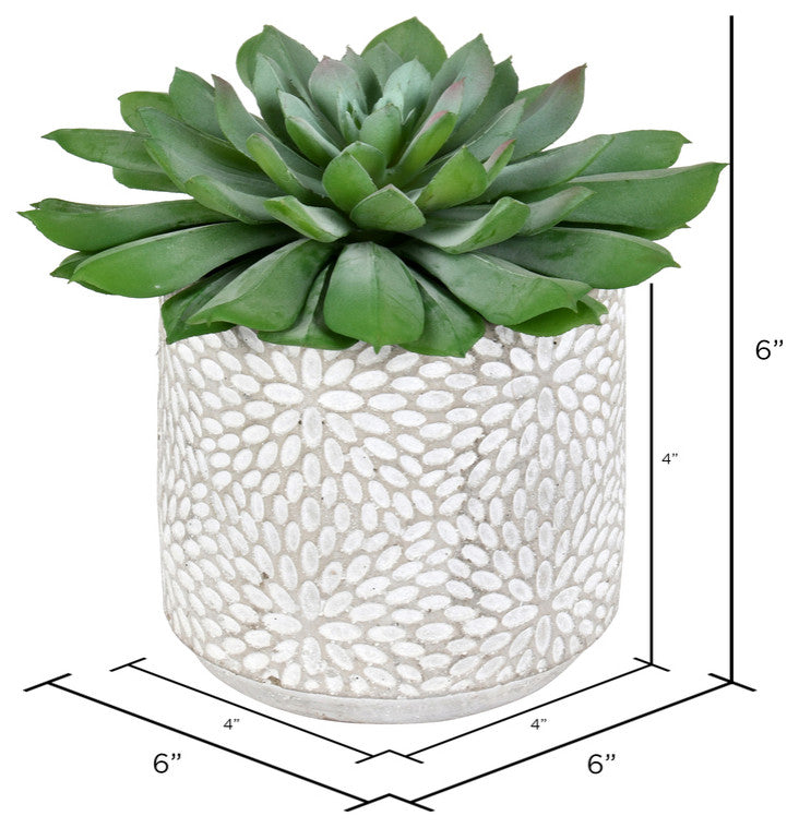 Vickerman FH191106 6" Artificial Green Potted Succulent, Pack of 2