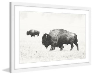 "Buffalo Pair" Framed Painting Print, 18"x12"