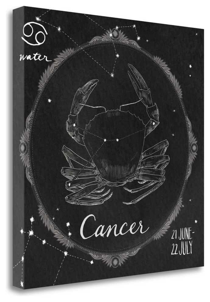 "Night Sky Cancer" By Sara Zieve Miller, Giclee Print on Gallery Wrap Canvas