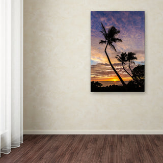Pierre Leclerc 'Kauai Sunrise' Canvas Art, 47x30