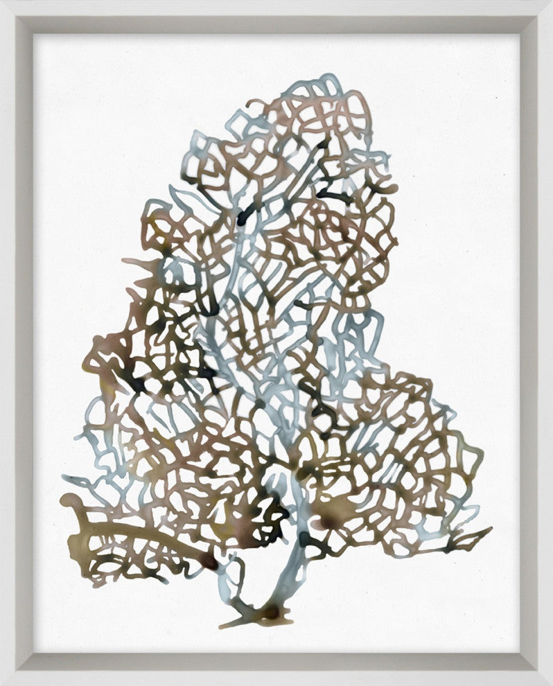 Aquatic Assortment 7, Giclee Reproduction Artwork