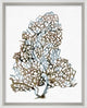 Aquatic Assortment 7, Giclee Reproduction Artwork