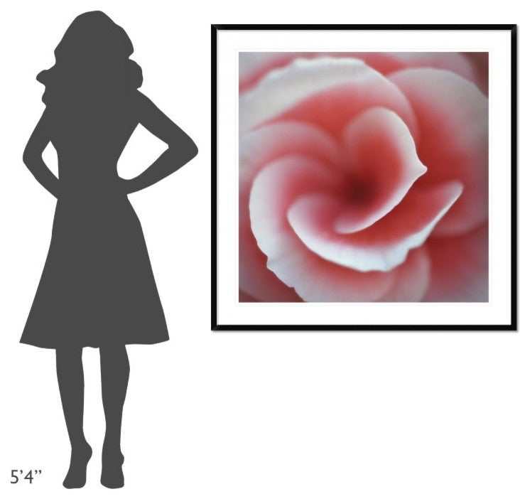 "Begonia" Framed Digital Print by Lotte Gronkjaer, 44x44"