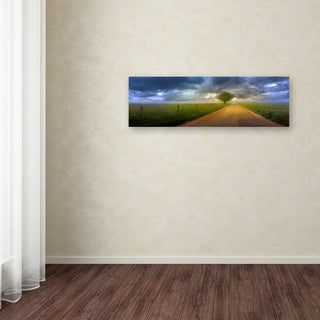 Doug Cavanah 'The Road Home' Canvas Art, 10x32