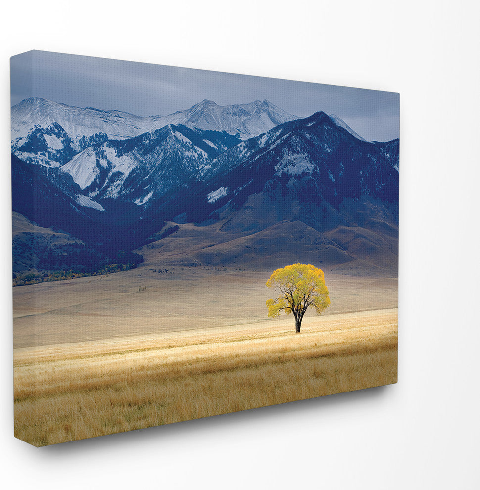 Open Range Landscape With Tree, Canvas, 24"x30"