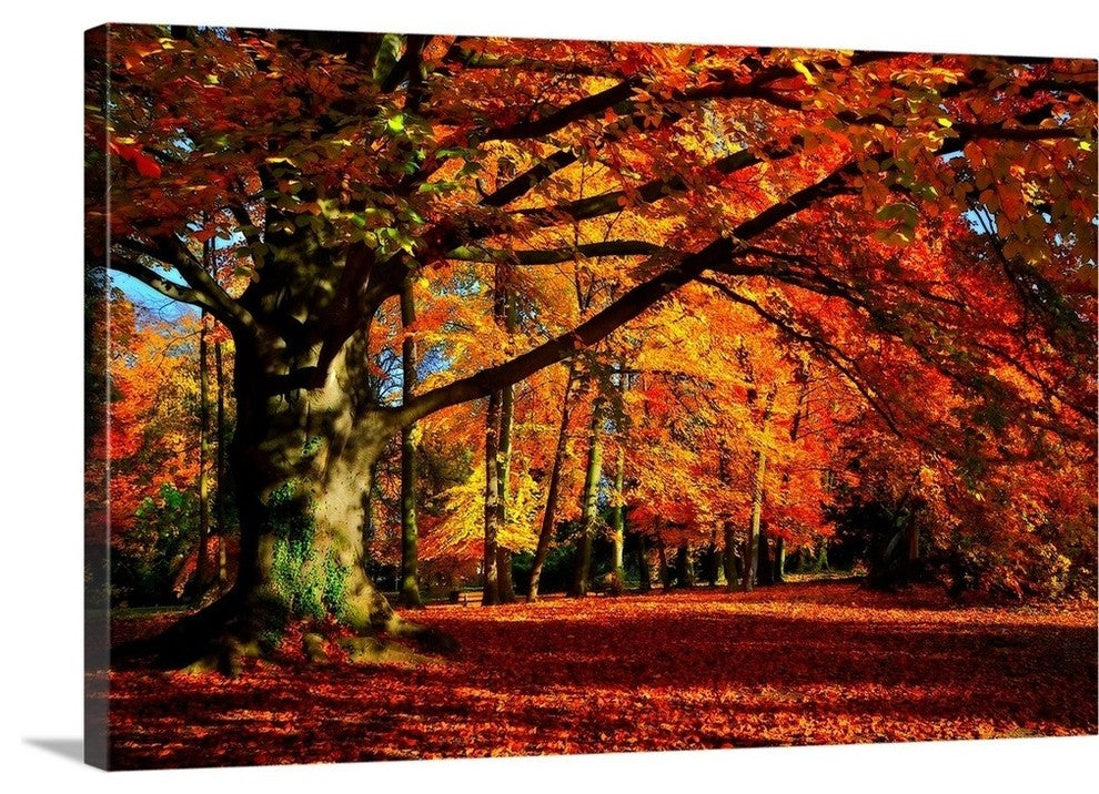 "The Tree" Wrapped Canvas Art Print, 48"x32"x1.5"