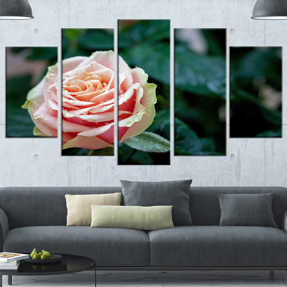Red and Orange Rose Flower Close Up, Floral Canvas Art Print, 60"x32", 5 Panels