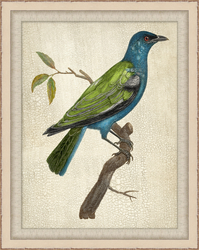 Blue Birds 7, Giclee Reproduction Artwork