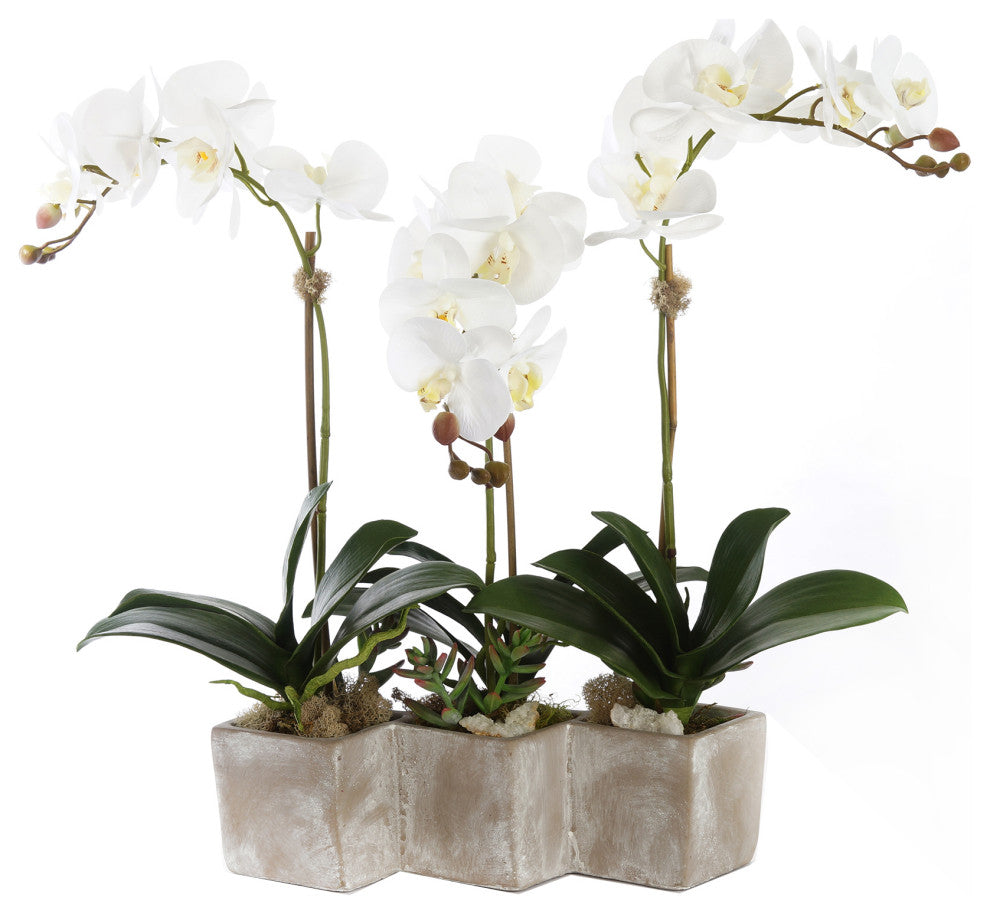Three Sisters Real Touch White Orchid Arrangement