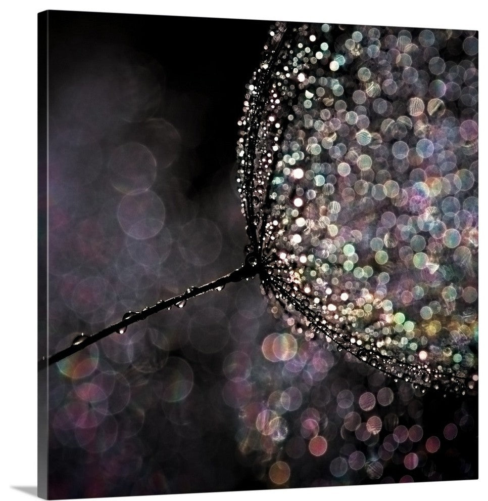"Chandelier" Wrapped Canvas Art Print, 16"x16"x1.5"