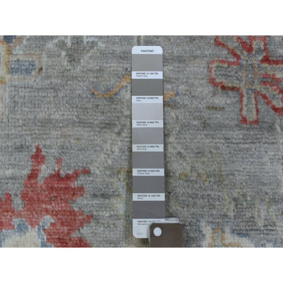 Gray Angora Oushak With Pop of Color Hand Knotted Soft Wool Rug, 3'1"x17'6"