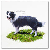 The Macneil Studio 'Border Collie' Canvas Art, 18"x18"