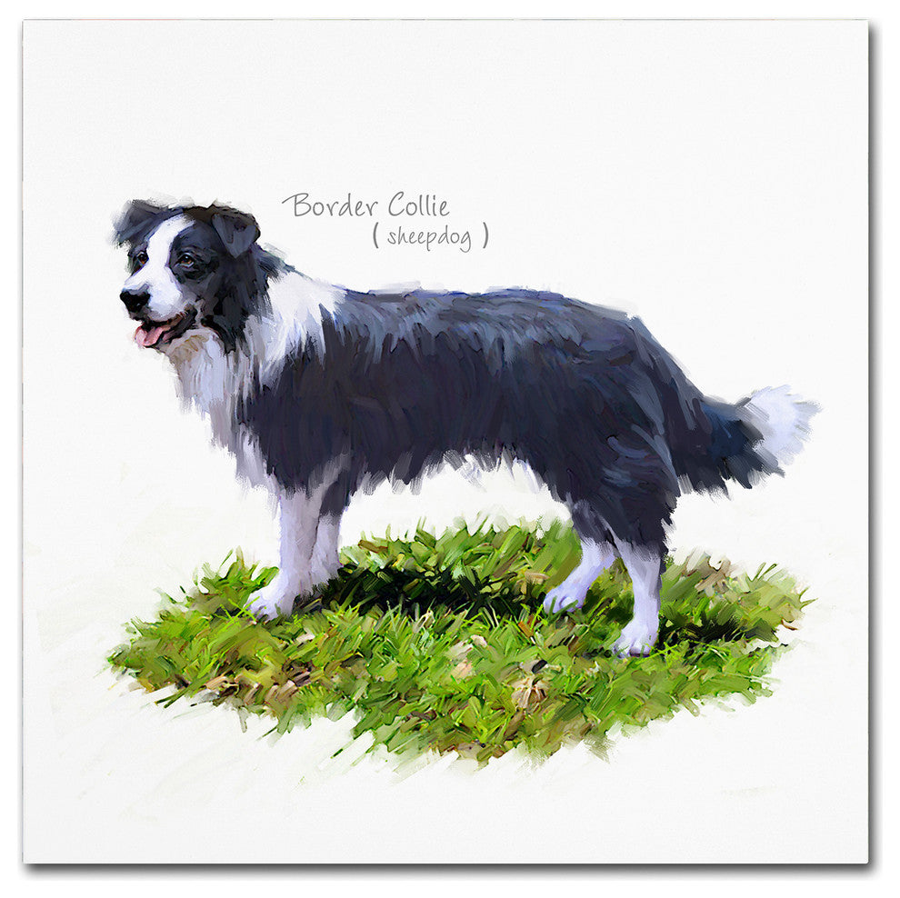 The Macneil Studio 'Border Collie' Canvas Art, 18"x18"
