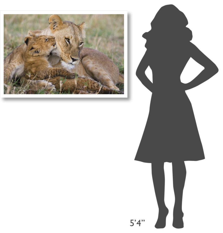 "Lion mother and young cubs, Masai Mara National Reserve" Paper Art, 38"x26"