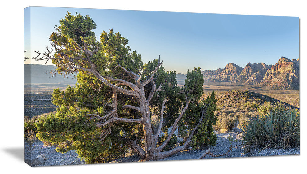 "Large Rock Canyon Panorama" Landscape Wall Art Canvas Print, 40"x20"