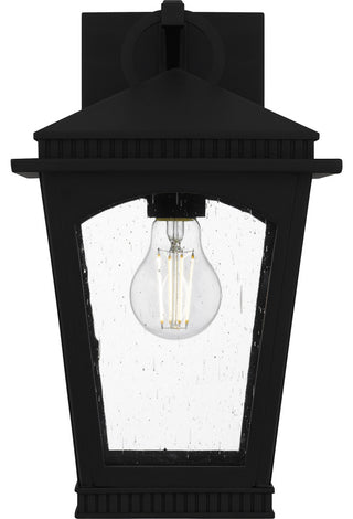 Quoizel HUK8408 Huck 13" Tall Outdoor Wall Sconce - Earth Black