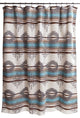 Badlands Southwest Striped Shower Curtain