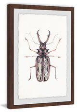 "Artsy Insect" Framed Painting Print, 12"x18"