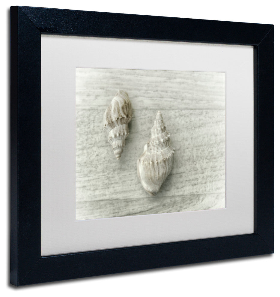 Cora Niele 'Two Cancellaria Shells' Matted Framed Art