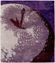 Adam A Signature Rug, 6' Round