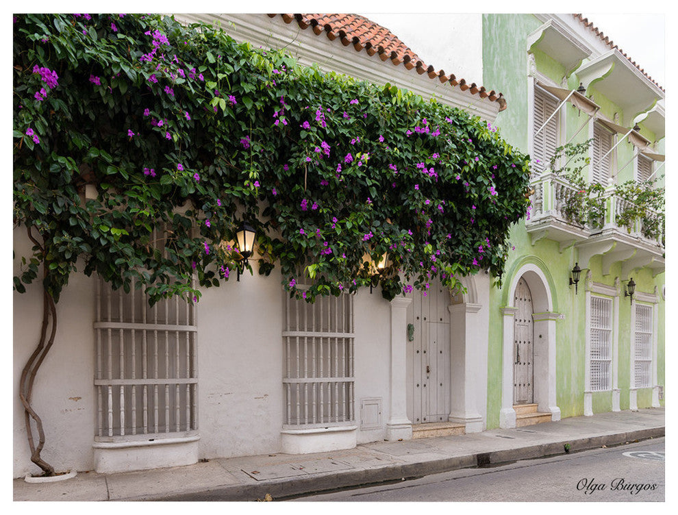 Indoor/Outdoor Wall Decor 'Provincial XIII' in ArtPlexi, 20"x30"