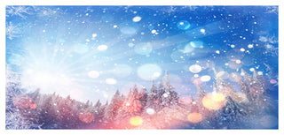 Winter Trees Snowbound, Landscape Canvas Art Print, 60"x28"