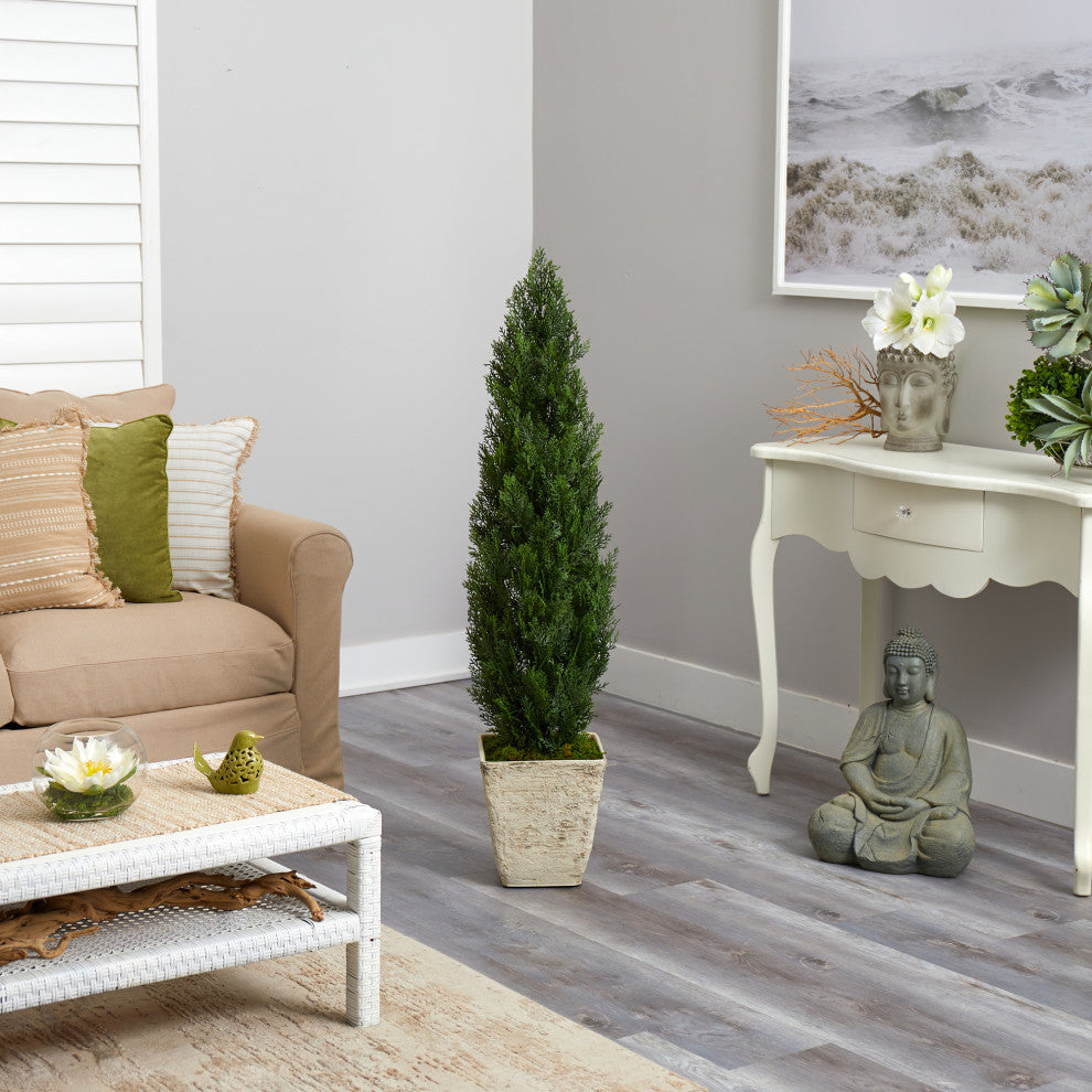Lifestyle image showing the cedar tree in a living room setting