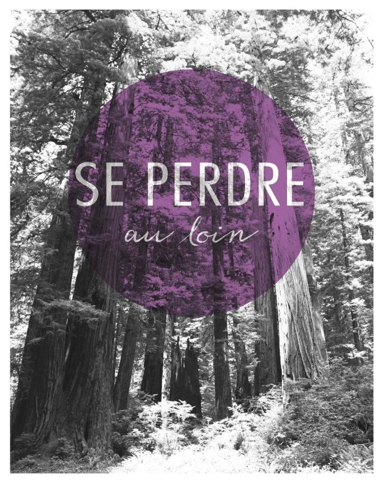 "Wander Far and Wide French" Digital Paper Print by Laura Marshall, 18"x22"