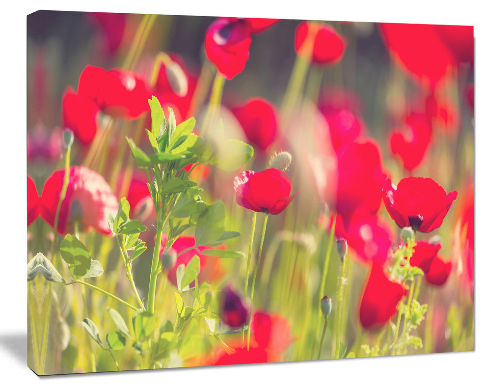 Red Poppies on Green Background, Large Flower Canvas Art Print, 40"x30"