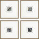 Metamorphosis I Framed Art, 4-Piece Set