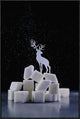"Reindeer (Powdered Sugar)" Framed Canvas Giclee by Dina Belenko, 25x37"