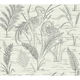 Fernwater Cranes Wallpaper
