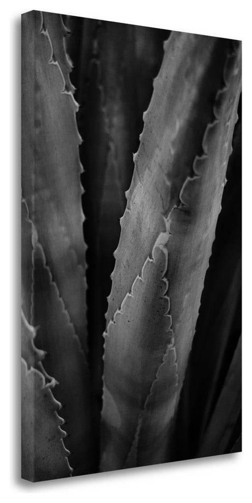 "Abstract Agava I" By Elizabeth Urquhart, Giclee Print on Gallery Wrap Canvas