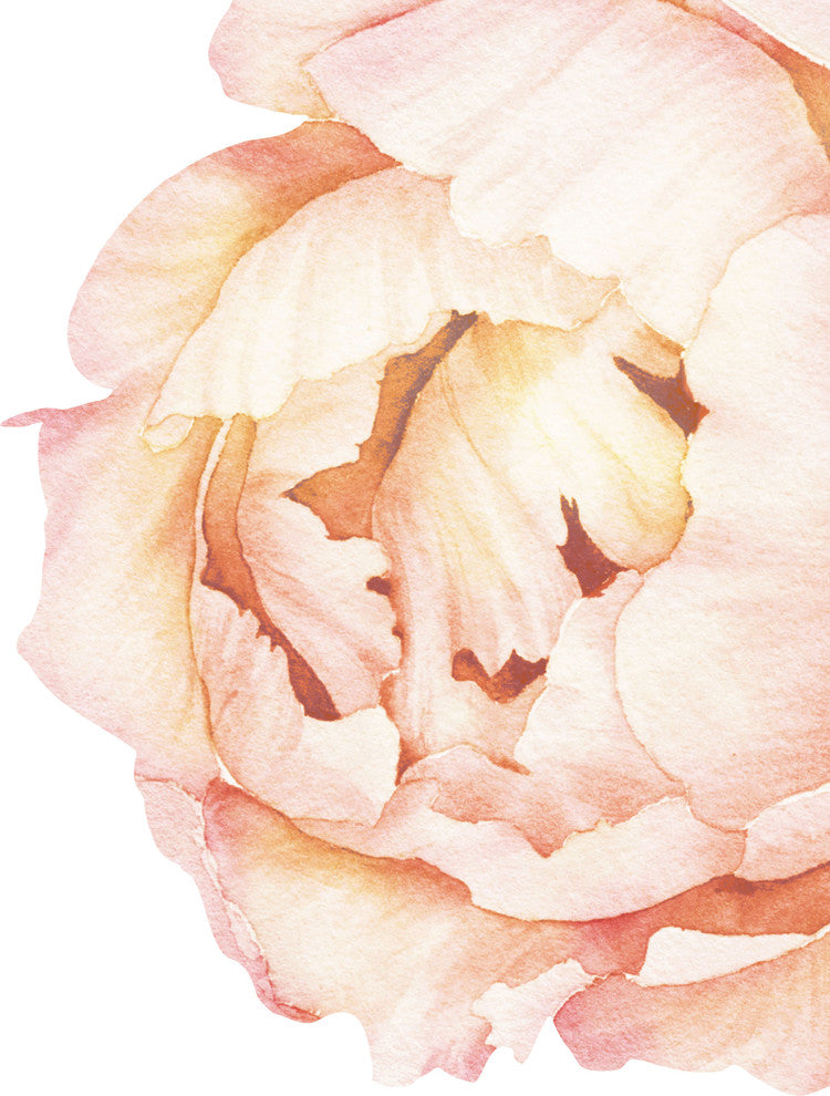 Peony Flowers Vinyl Wall Sticker, Large Set, Vintage Peach