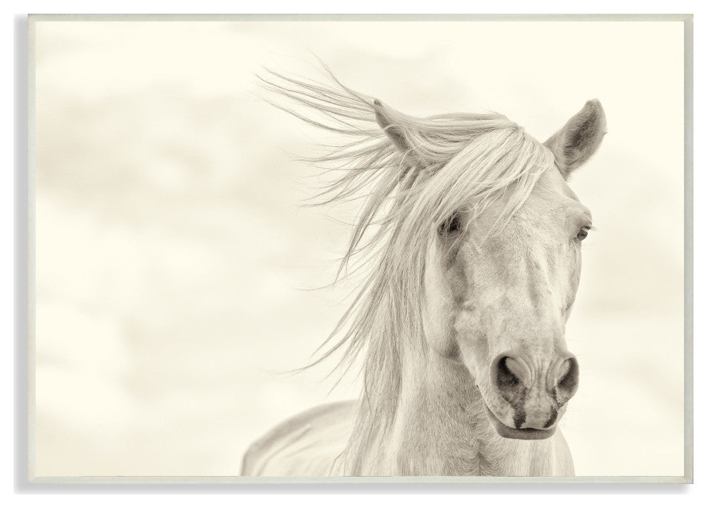 Stupell Industries White Horse Running in the Wind, 10 x 15