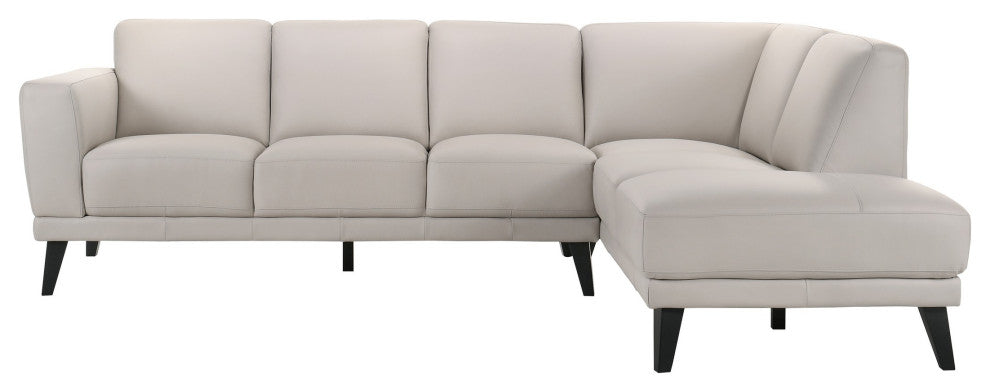Benzara BM293330 Left Arm Facing Sofa, Mist Gray Finish, Genuine Italian Leather