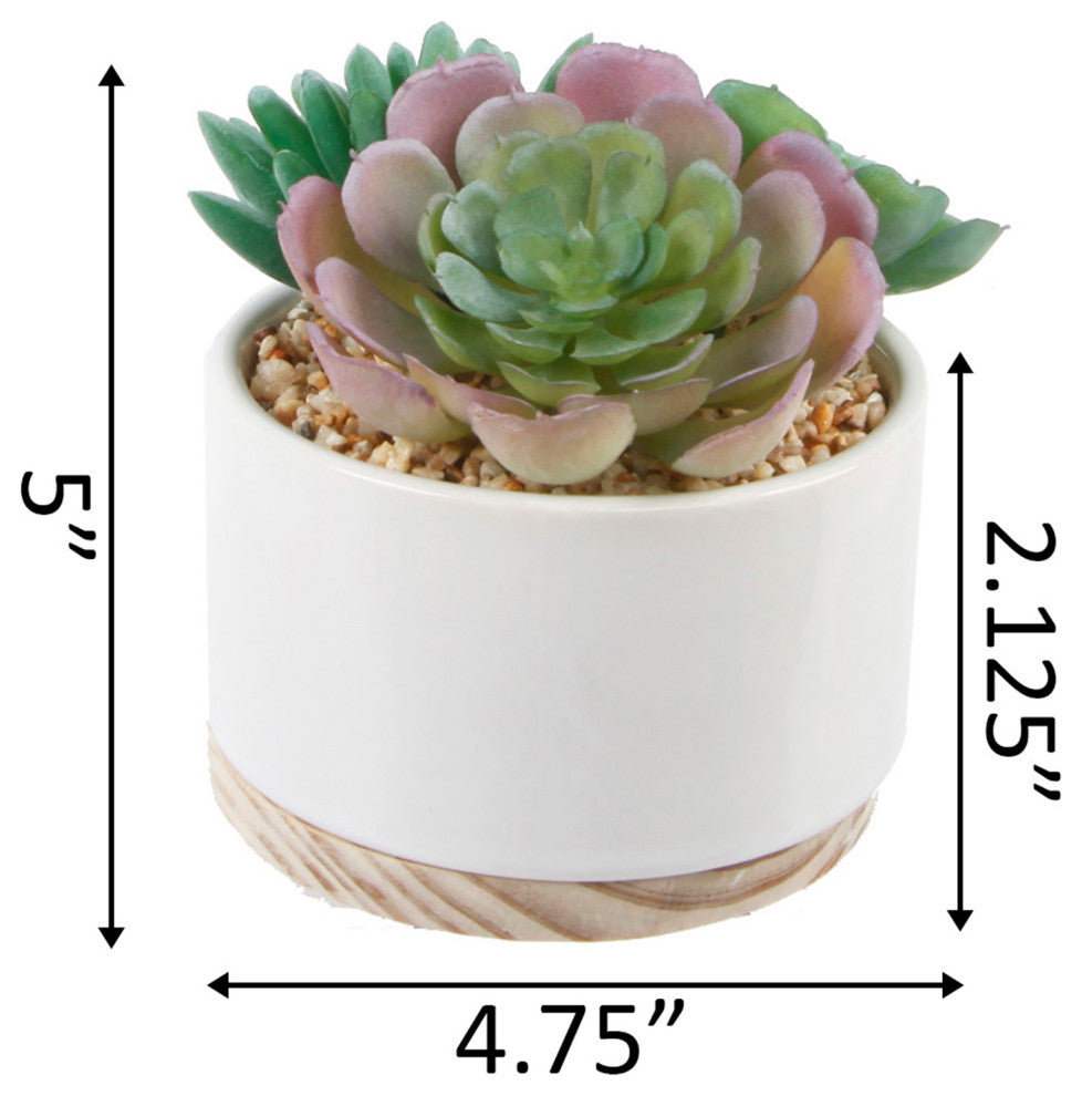 Succulent Mix In Wh Ceramic Wood Base