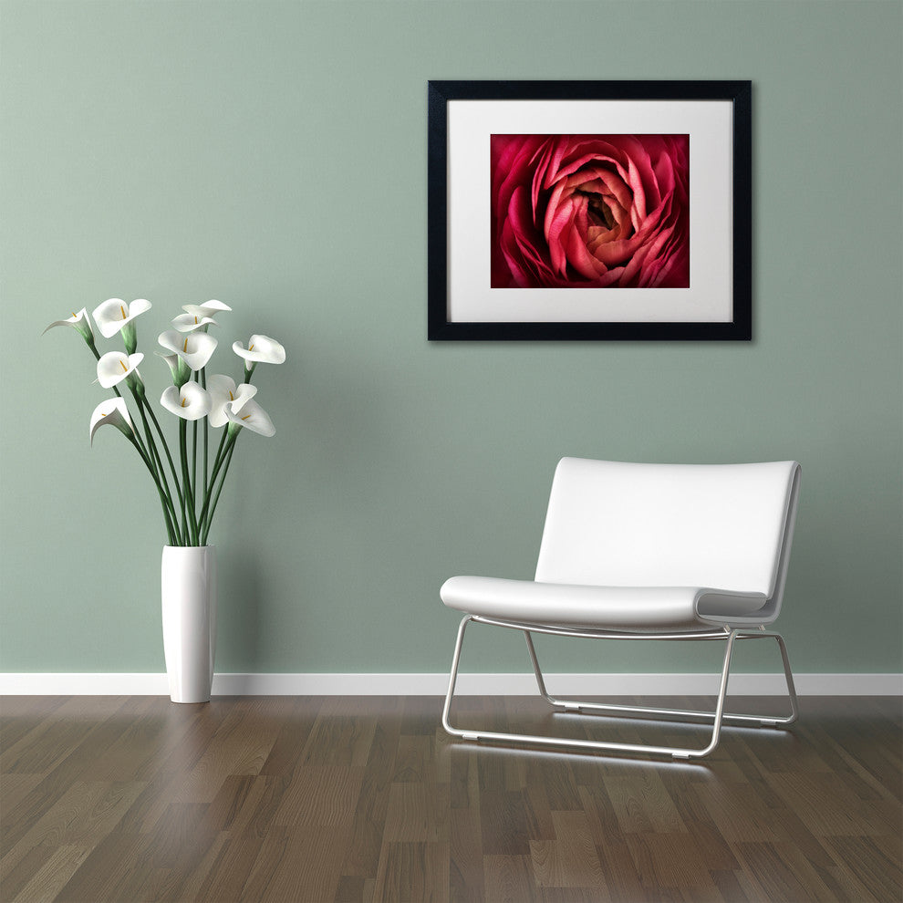 Cora Niele ''Glowing Ruby Red Ranunculus'' Matted Framed Art