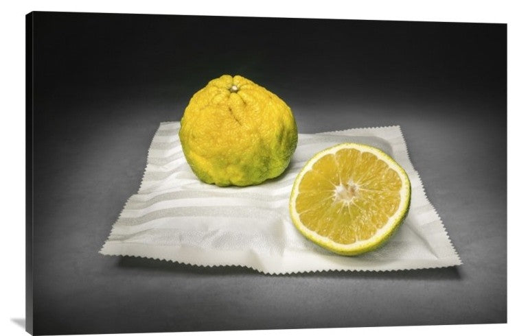 "Citrus" Stretched Canvas Giclee by Christophe Verot, 36x24"