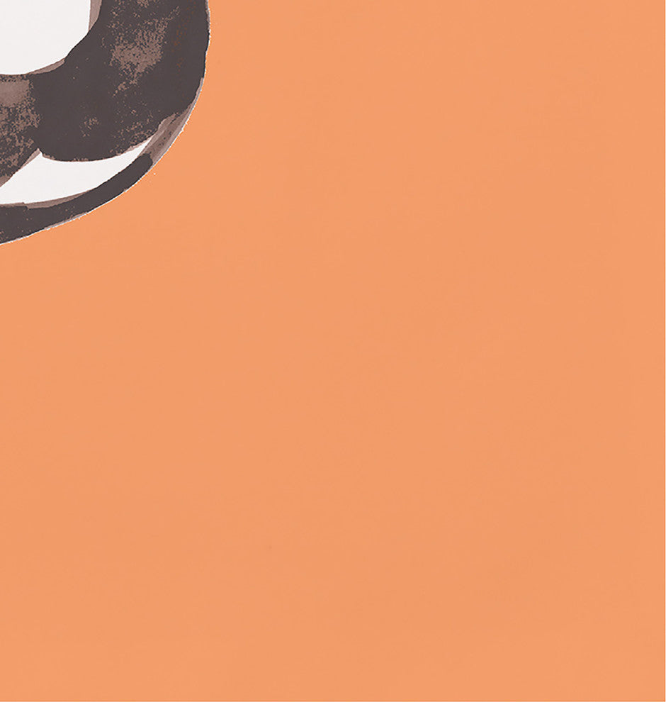 Pumpkin Single 18"x14" Orange Halloween Print Placemat, Set of 4
