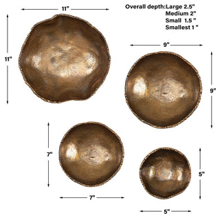 Lucky Coins Brass Wall Bowls