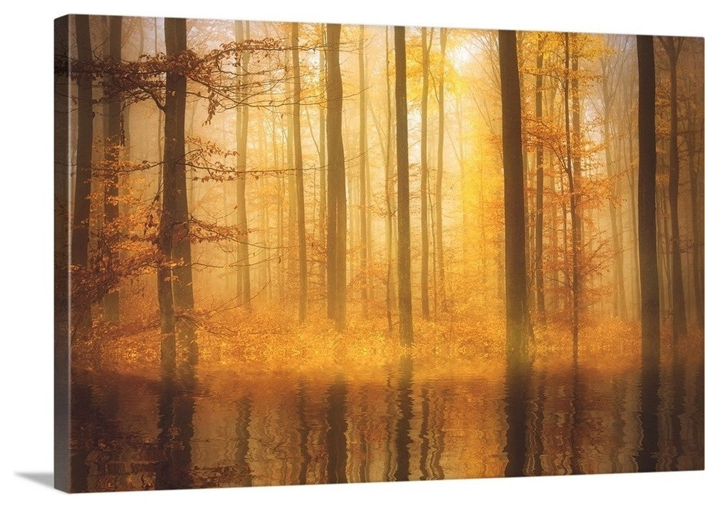"Nature is Magic" Wrapped Canvas Art Print, 36"x24"x1.5"