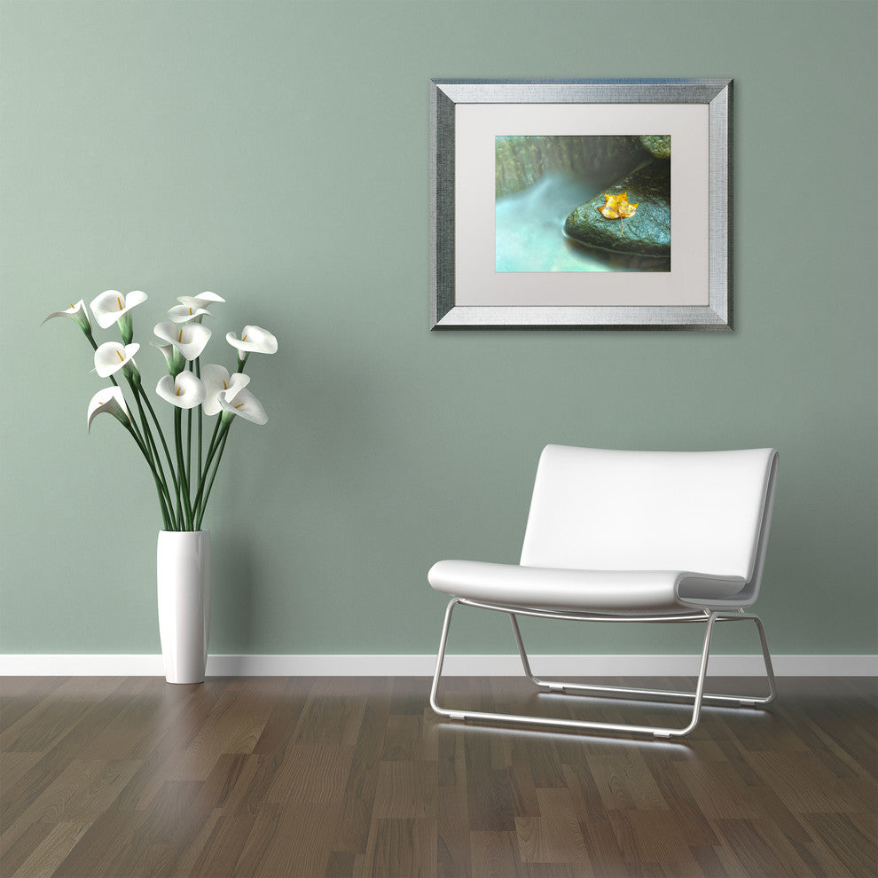 PIPA Fine Art ''Misty Leaf'' Matted Framed Art, 20x16