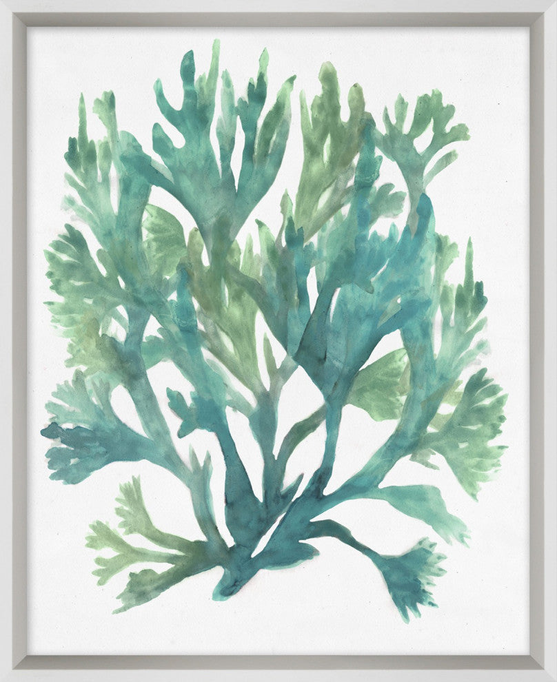Aquatic Assortment 19, Giclee Reproduction Artwork