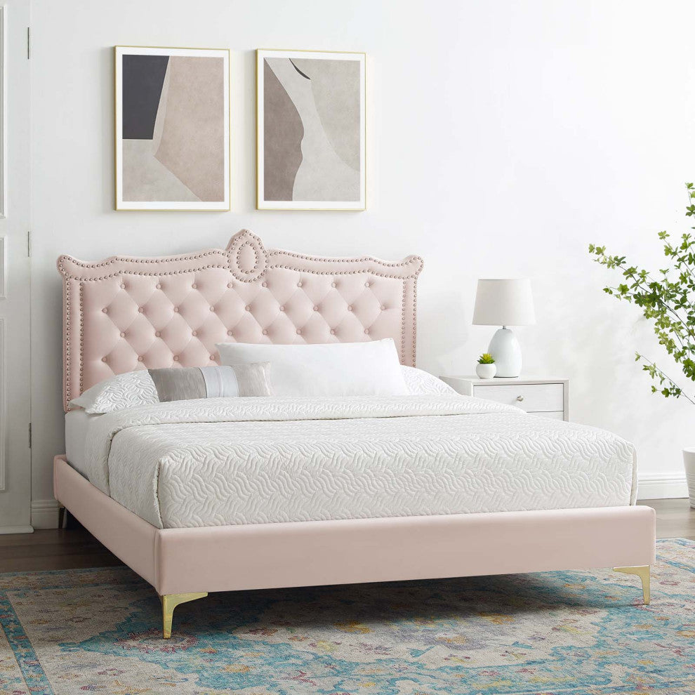 Platform Bed Frame, Nailhead, Queen Size, Pink, Velvet, Modern, Guest Suite