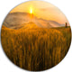 Tuscany Wheat Field At Sunrise, Landscape Round Wall Art, 23"