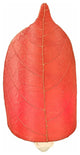 Leaf Nightlight Red