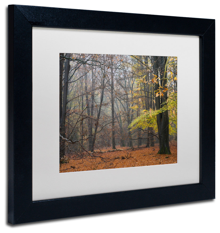 Cora Niele 'Hazy Wood' Matted Framed Art